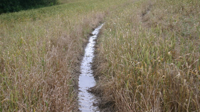 pathway